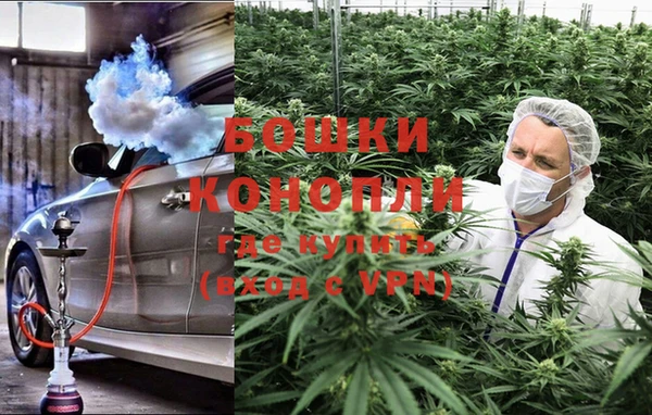 индика Богданович