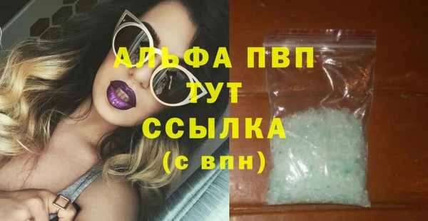 индика Богданович